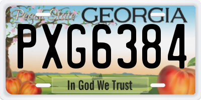GA license plate PXG6384