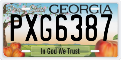 GA license plate PXG6387