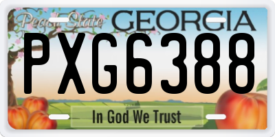 GA license plate PXG6388