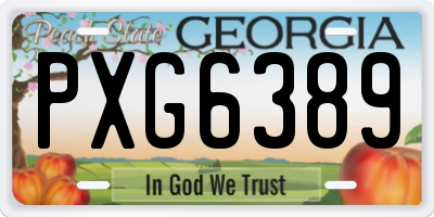 GA license plate PXG6389