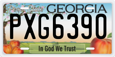 GA license plate PXG6390