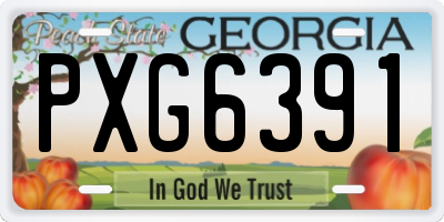 GA license plate PXG6391