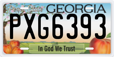 GA license plate PXG6393