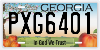 GA license plate PXG6401