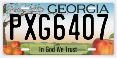 GA license plate PXG6407