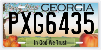 GA license plate PXG6435