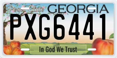 GA license plate PXG6441