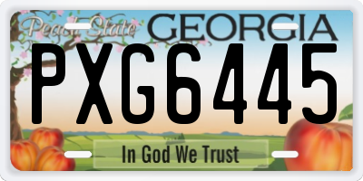 GA license plate PXG6445
