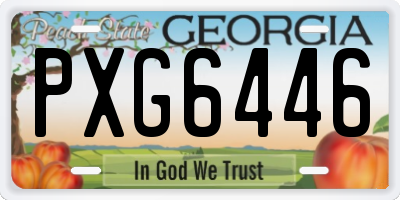 GA license plate PXG6446