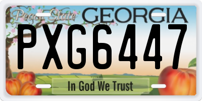 GA license plate PXG6447