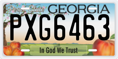 GA license plate PXG6463
