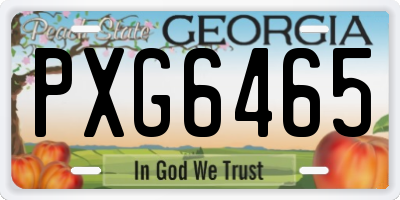 GA license plate PXG6465