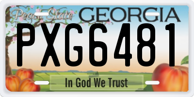 GA license plate PXG6481