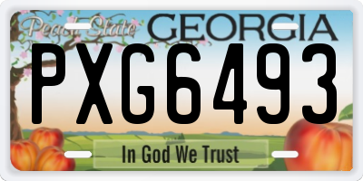 GA license plate PXG6493