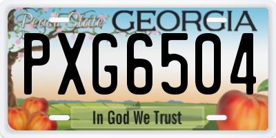 GA license plate PXG6504