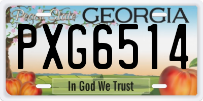 GA license plate PXG6514