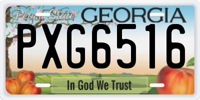 GA license plate PXG6516