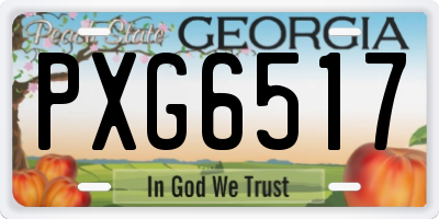 GA license plate PXG6517