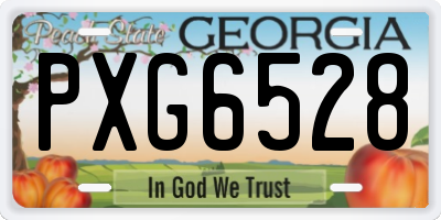 GA license plate PXG6528