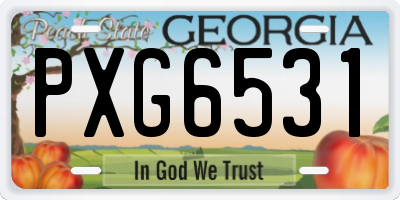 GA license plate PXG6531
