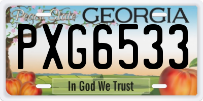 GA license plate PXG6533