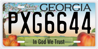 GA license plate PXG6644