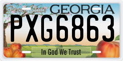 GA license plate PXG6863