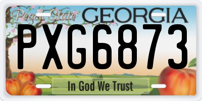 GA license plate PXG6873