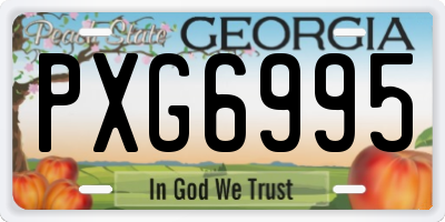 GA license plate PXG6995