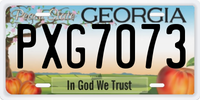 GA license plate PXG7073