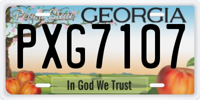 GA license plate PXG7107