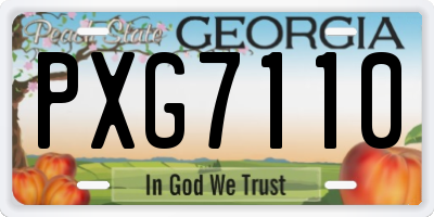GA license plate PXG7110