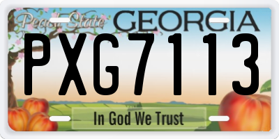 GA license plate PXG7113
