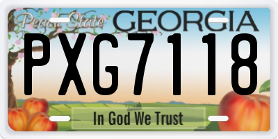 GA license plate PXG7118