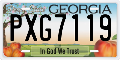 GA license plate PXG7119