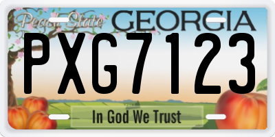 GA license plate PXG7123