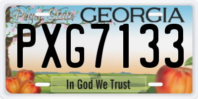 GA license plate PXG7133