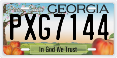 GA license plate PXG7144