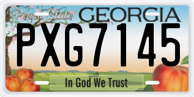 GA license plate PXG7145
