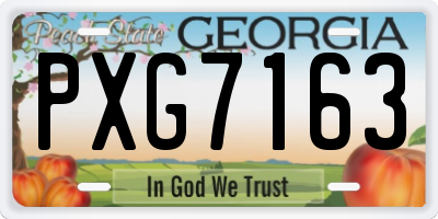 GA license plate PXG7163