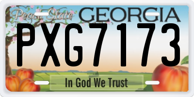 GA license plate PXG7173