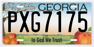 GA license plate PXG7175