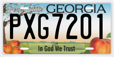 GA license plate PXG7201