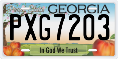 GA license plate PXG7203