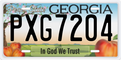 GA license plate PXG7204