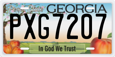 GA license plate PXG7207