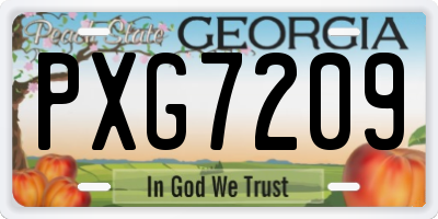GA license plate PXG7209
