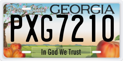 GA license plate PXG7210