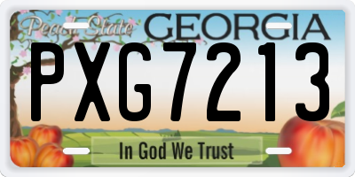 GA license plate PXG7213