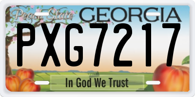 GA license plate PXG7217
